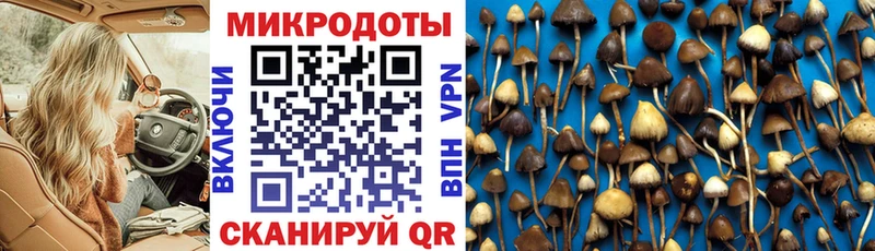 купить  сайты  Сызрань  Галлюциногенные грибы Psilocybine cubensis 